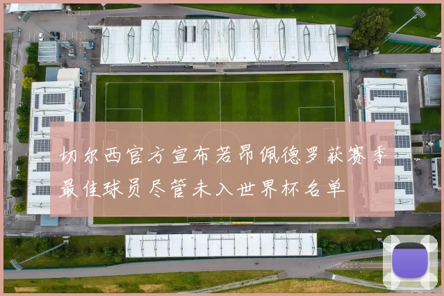 切尔西官方宣布若昂佩德罗获赛季最佳球员尽管未入世界杯名单